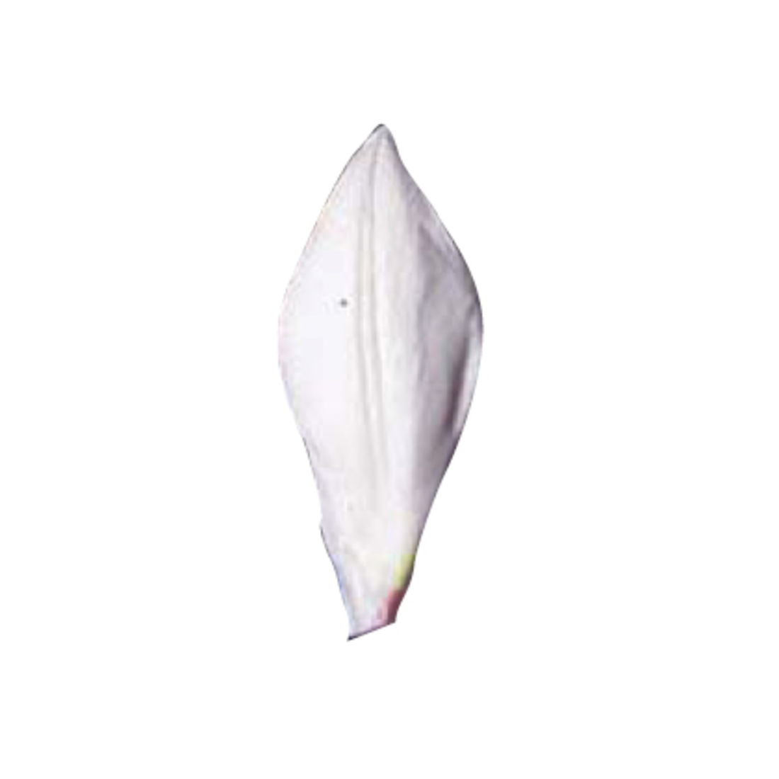 2001061 SK-GI Petal Venier Tulip Mini